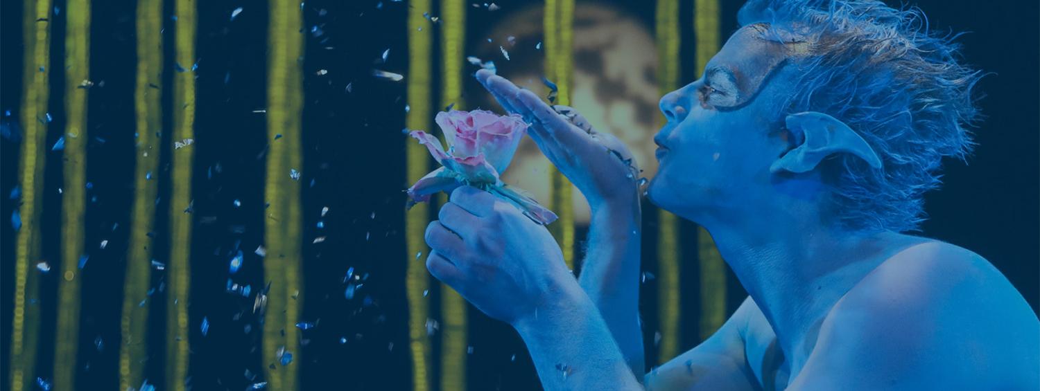 A Midsummer Night's Dream