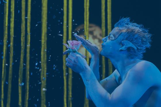 A Midsummer Night's Dream