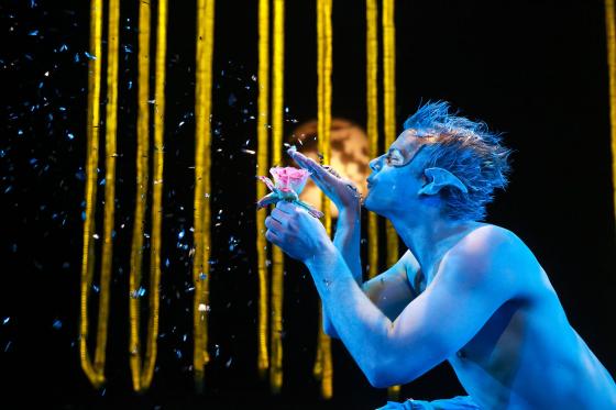 A Midsummer Night's Dream